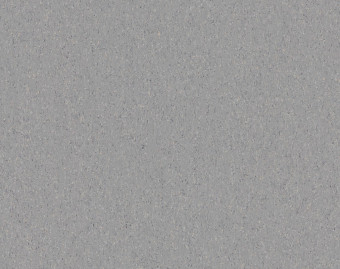 [200111111_6] Mipolam Cosmo - 2610 Silver